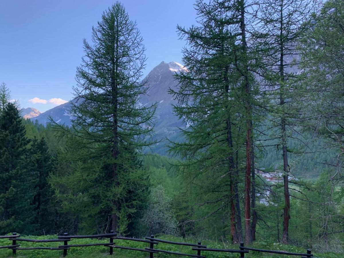 Casa Camas, Wide 2Bedroom, Feel The Mountain 布勒伊-切尔维尼亚 外观 照片